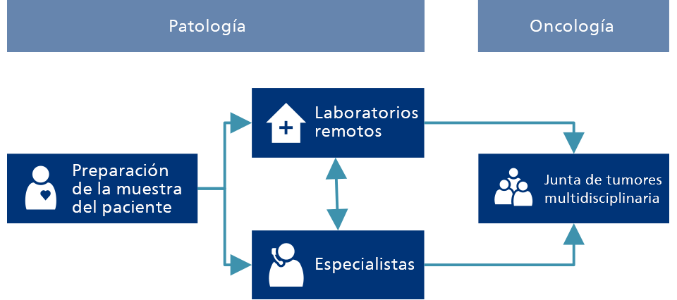 Programa de detección