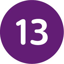 Icono de 13 círculos