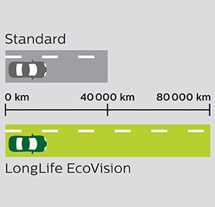 ecovision-comp